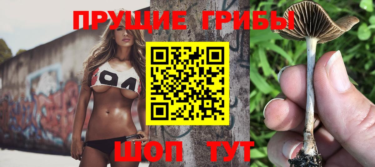 Миасс  продажа наркотиков  Вход с VPN  Псилоцибиновые грибы Psilocybine cubensis 